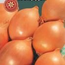 Лук репчатый Халцедон