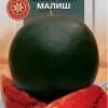 Арбуз Сахарный малыш